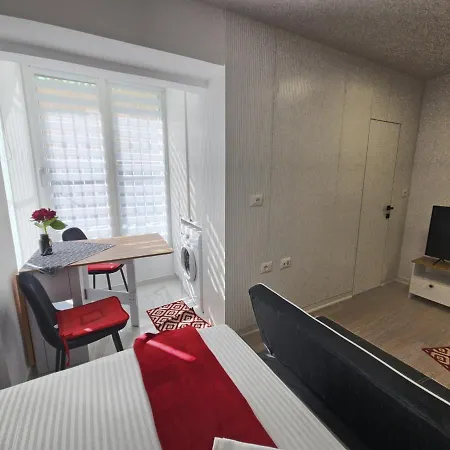 Tiny Rose * 티라나